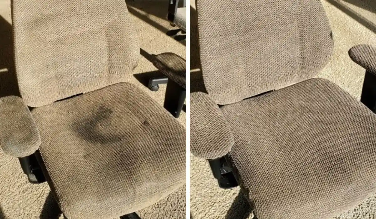 Clean-To-The-Maxx-Upholstery2 Clean-To-The-Maxx-Upholstery2